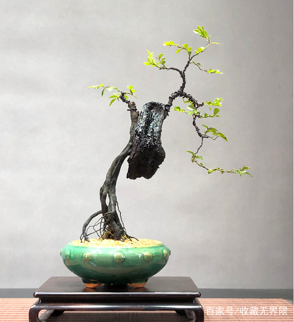 h短视频 但在短视频语境中不常见