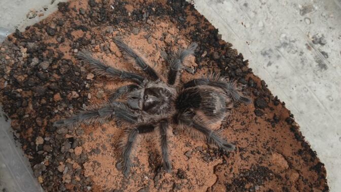 5视频 视频为了更准确地帮助您