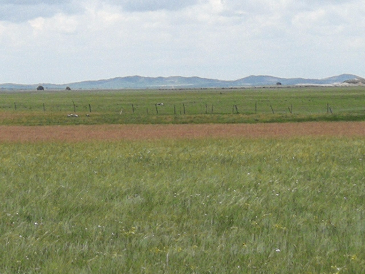 南桃在线播放 南桃安全的线播解决方案