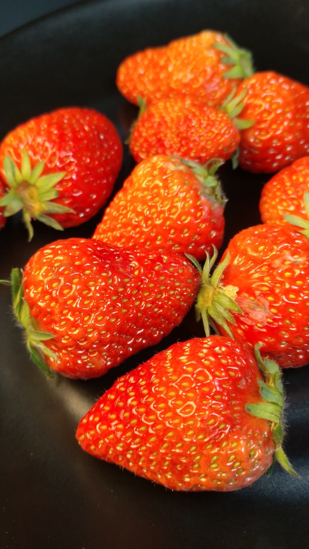 火 影 忍 者 同 人视频