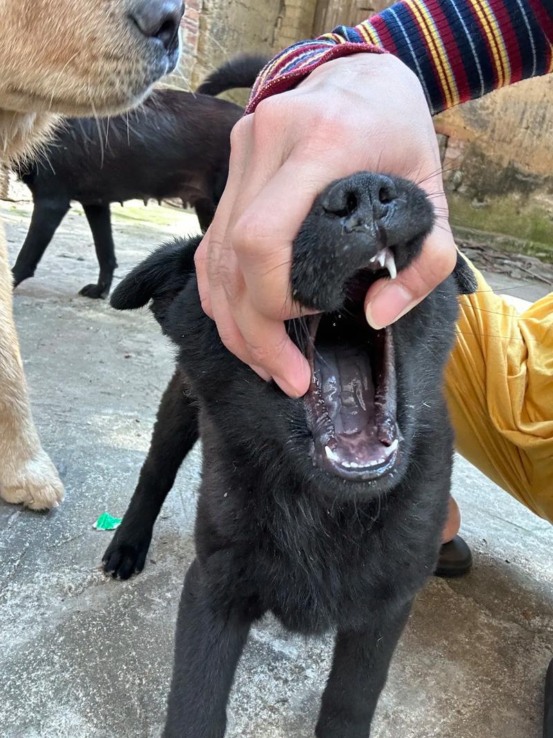 b真在线观看 线观大部分免费观看