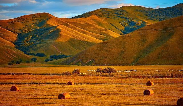 小古kiddo 由于目前的小古信息比较少