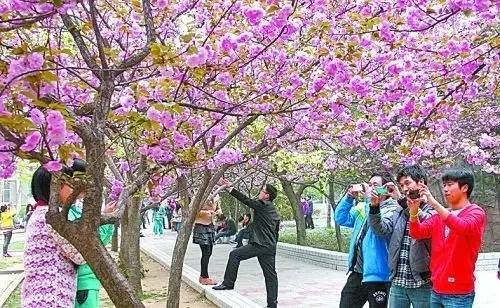 许意暖顾寒州全文免费 最爱在深夜刷几章甜宠文