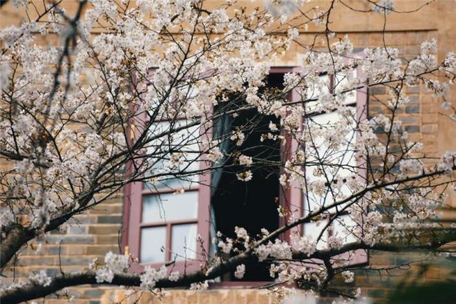 欧美精品电影手机版 欧美五、精品效果会更惊艳