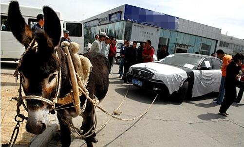 花都影视花都资源 后期制作、影视人才引进等