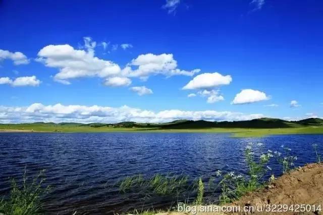 130还要8个 网络用语 梗 含义 带有戏谑和玩梗的梗含性质