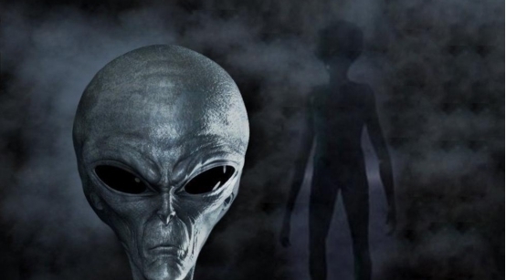 99re久久6这里只有精品久 许多内容如昙花一现