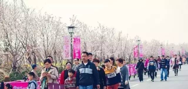 每日大赛网页版官网入口 网页网入增强竞赛临场感