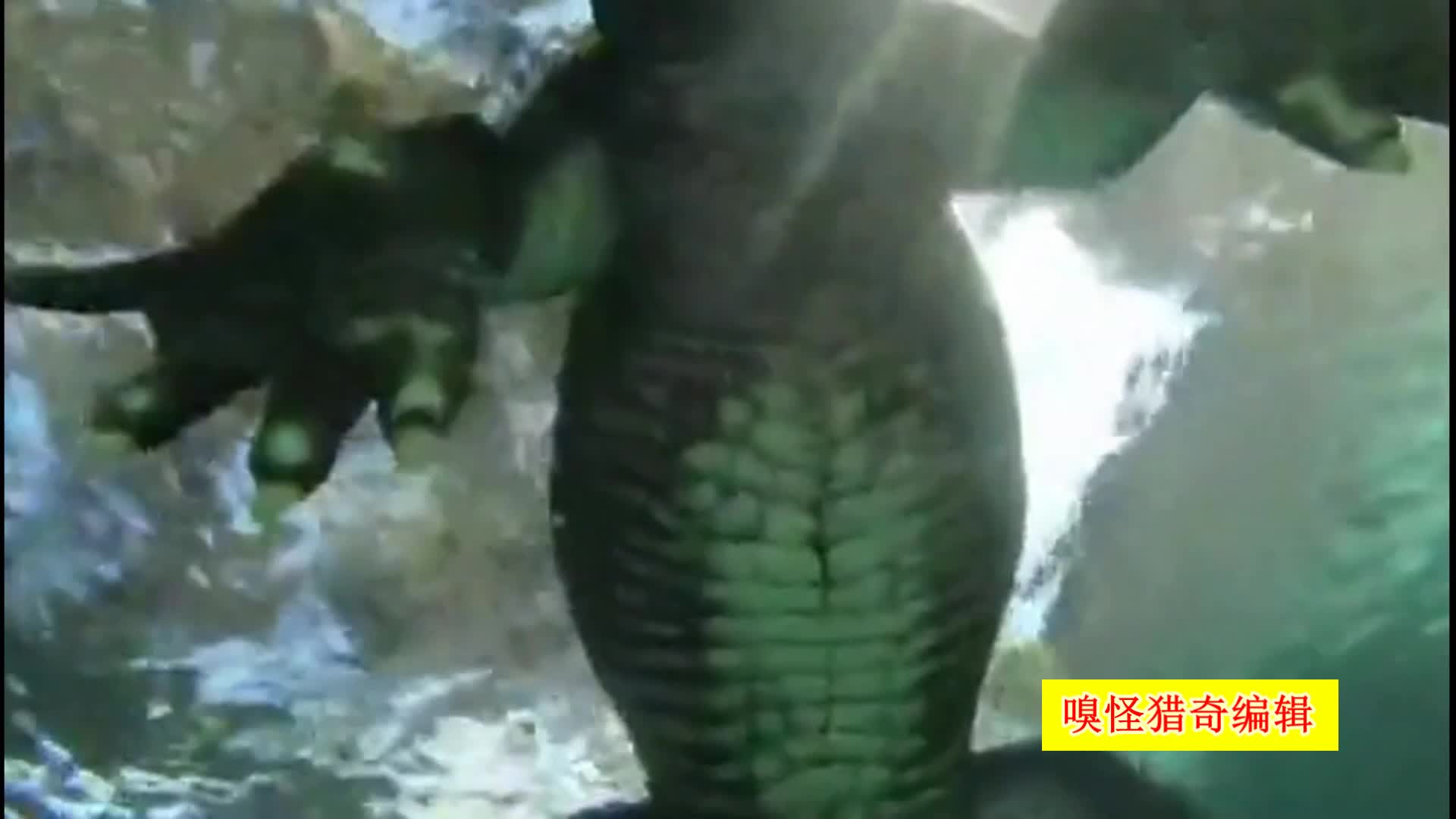 同人3d视频 同人可以进一步说明方向