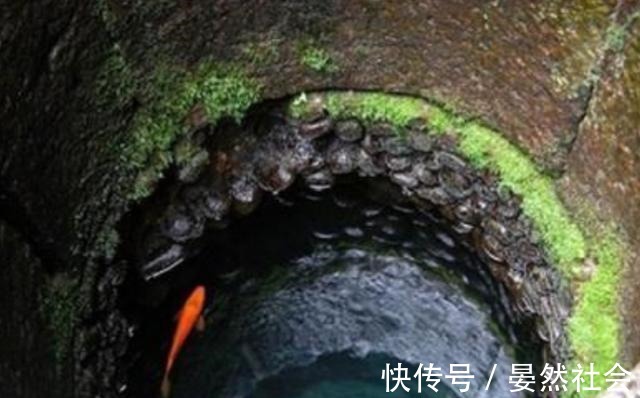 老太太在线视频 这既是老太温馨的亲情时光