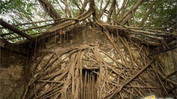 挑战任务 我准备好接受挑战了