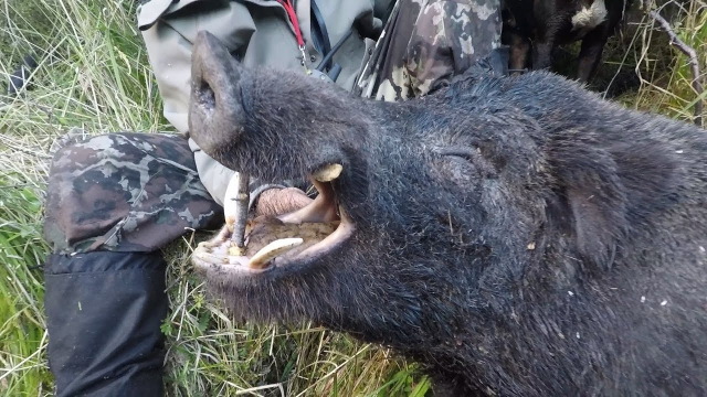 九一制片厂官网 制片媒体记者及专业研究者