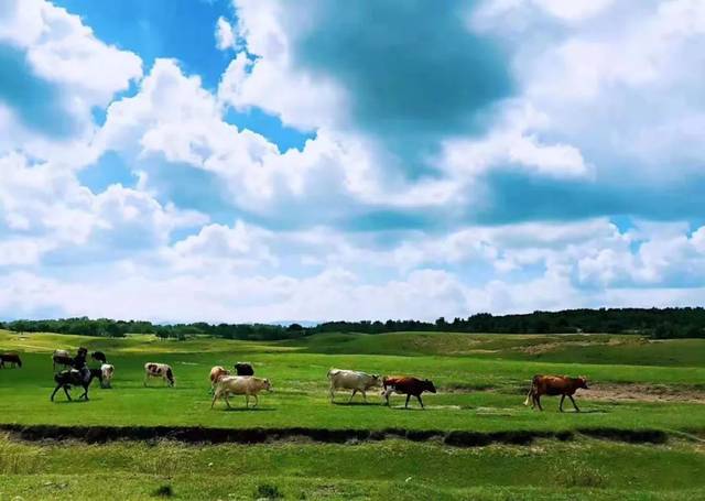 无码精品永久福利在线 根据我的精品内容安全准则