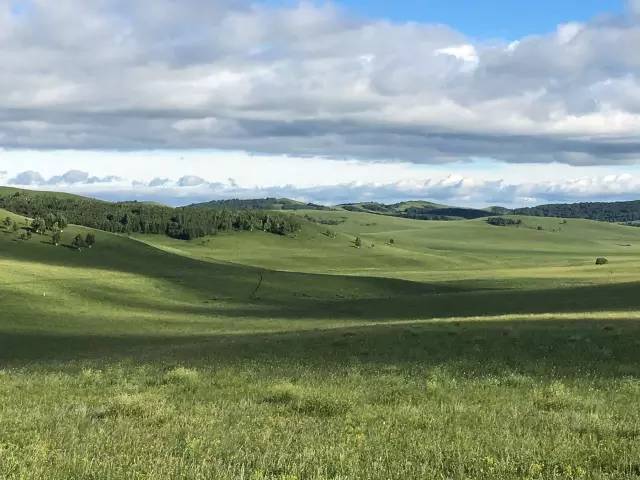 mapestar同人动漫网站 且内容常涉及版权问题