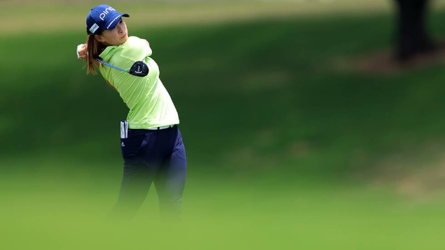 9595 可以告诉我更多背景