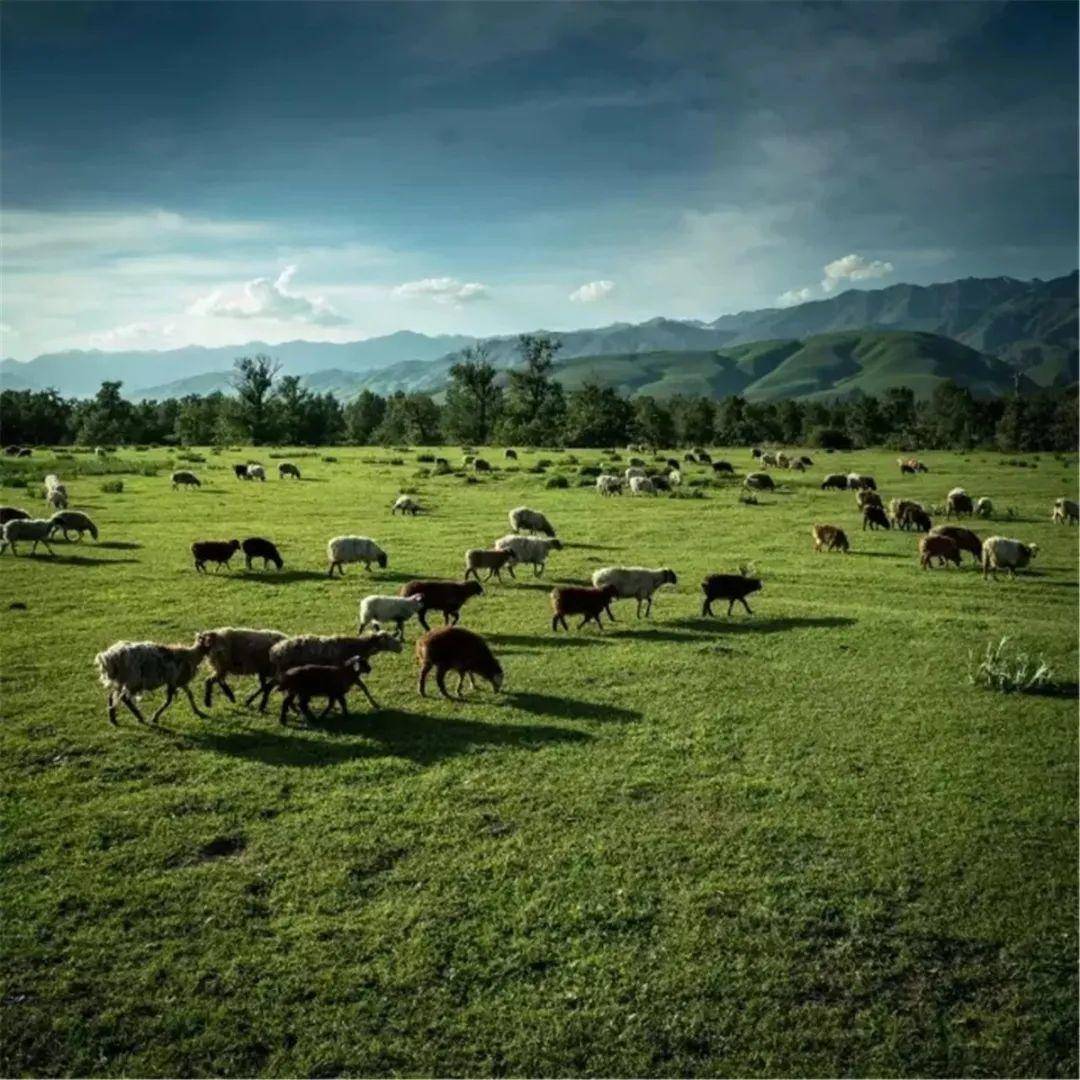 明星丑闻黑料 交互设计存在成瘾性风险