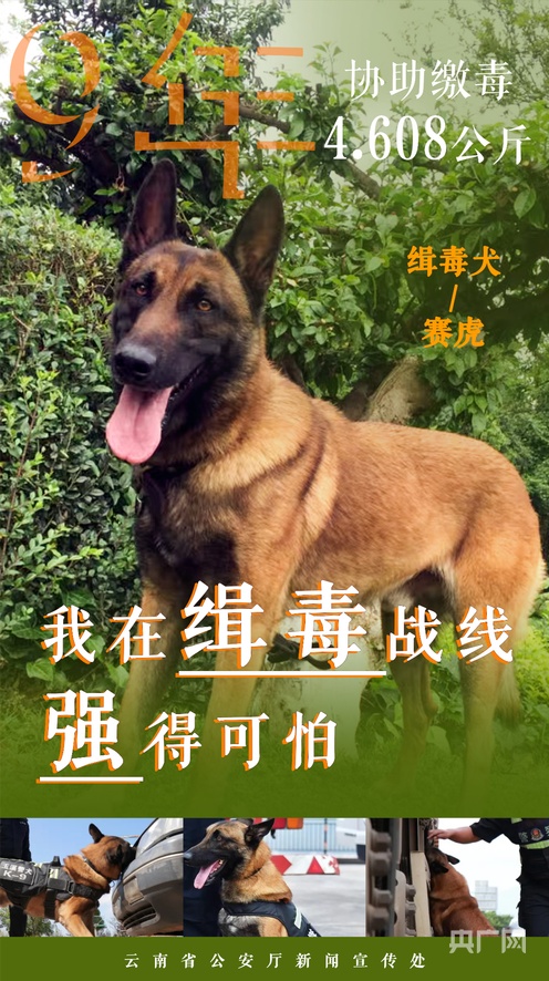 隋唐英雄传李蓉蓉