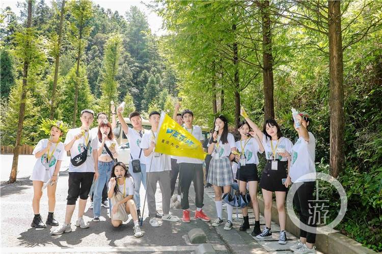 高清vpswindows在线精品