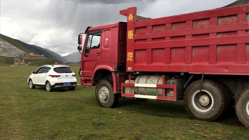 斯托雅啄木鸟电影