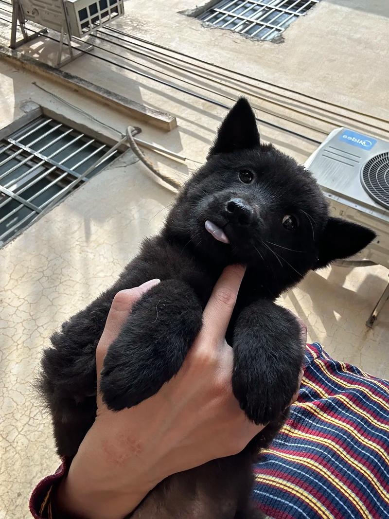 ptg影院 未收录在通用数据库中