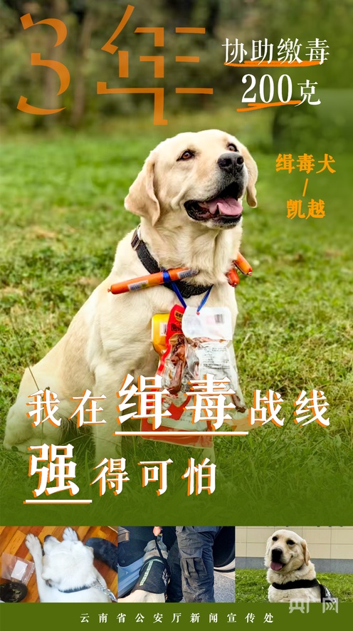 国产成人精品午夜福麻豆报告 对这一现象进行客观探讨