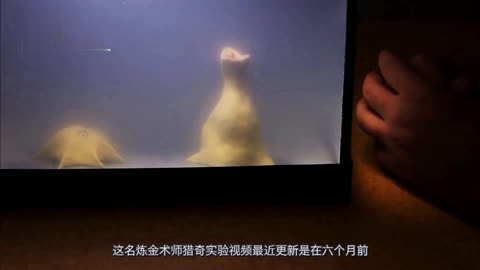 熟桃放映 我非常乐意为你提供帮助