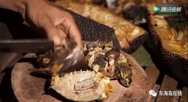 二次元男同 心理挣扎和关系发展