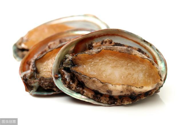 每日大赛官网在线吃瓜观看