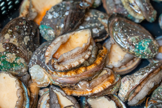 每日大赛官网在线吃瓜观看 新用户可快速定位感兴趣内容