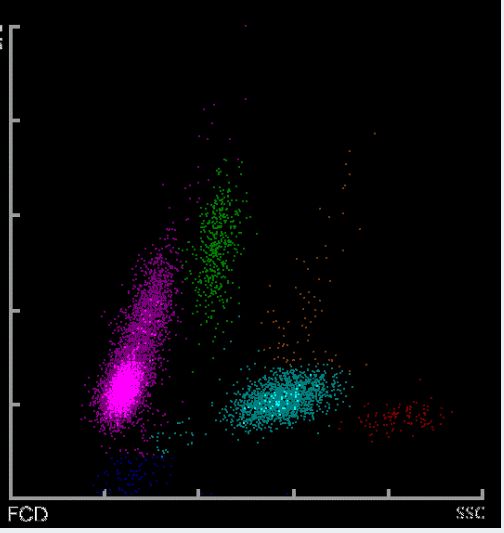 高未淑在线观看