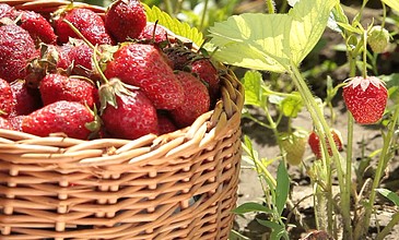 无限臀山剧情 我非常乐意为你提供帮助