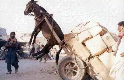 被玩坏的丈夫by