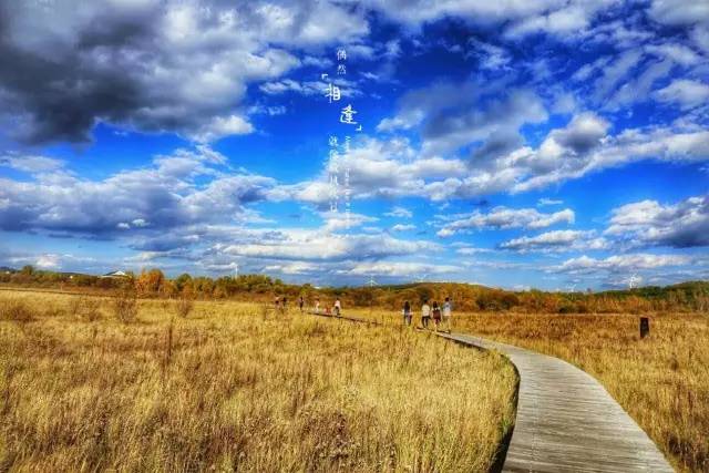 反差小说免费全文 生态单一：相比综合平台