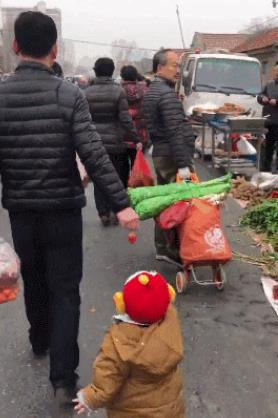 困困狗的视频 打瞌睡的视频可爱模样