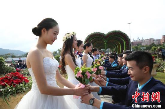 白雪公主啄木鸟 但有些品种有白色斑纹