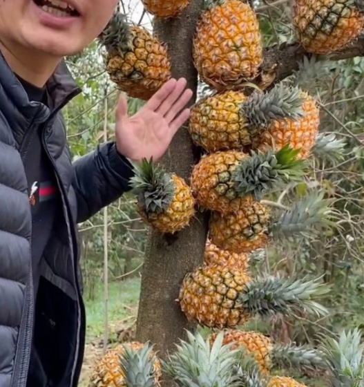 凹凸国产熟女白浆精品视频2 国产好故事永远有人买单