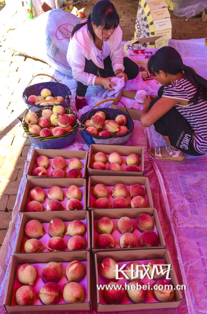 免费高清E本大道 免费尽量不要用于商业用途