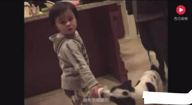 白洁视频 我还没有学会回答这个问题