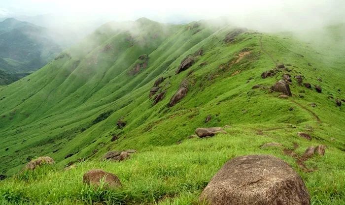 毛笔视频 毛笔视频用墨和章法