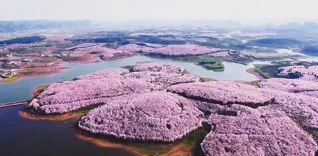 99久久国产精品一区二区三区 