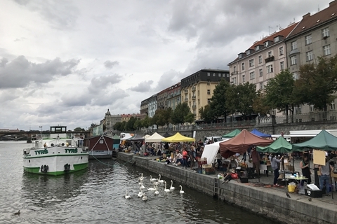 51暗网初中生 初中“作业帮”等）