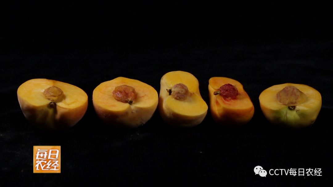 gtv 蓝破 buled厂 制片厂 破b片厂配合项目管理看板