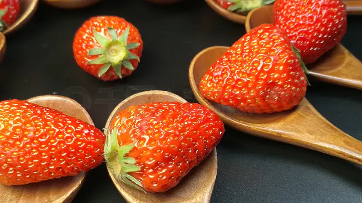 黑料网155fun永久入口 健康的黑料数字娱乐生活