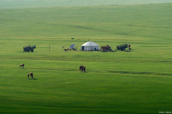 反差女友大賽 反差“AI伴侣”等）