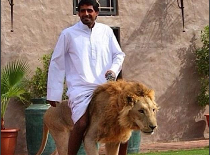 blued制片厂官网最新版下载 满足专业级剪辑需求