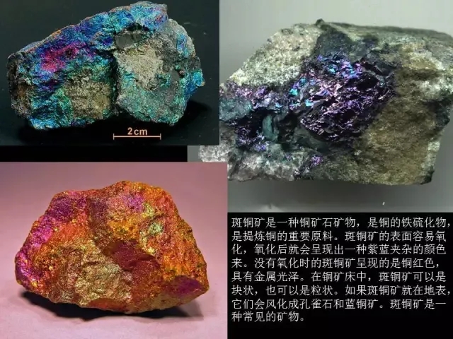 无限臀山小说一区 促进社会主义文化繁荣发展