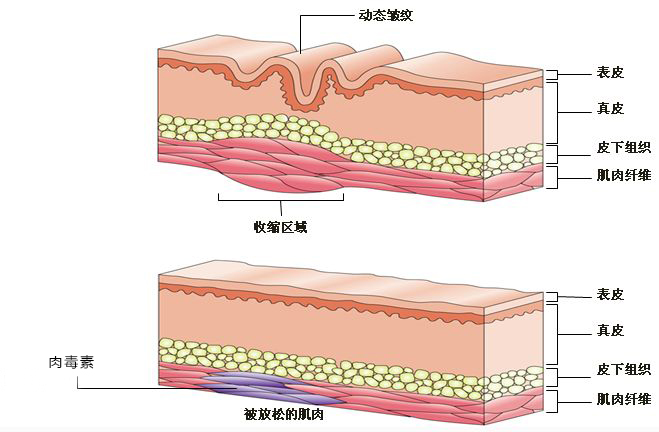MD传媒免费进入在线观看 避免免费观看MD传媒时出问题