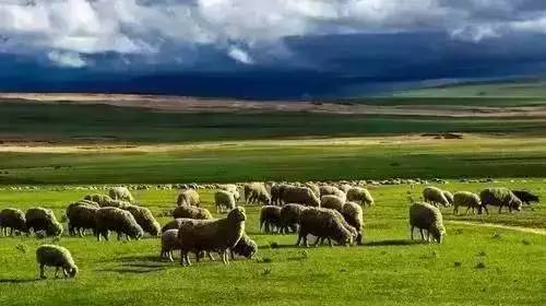 山东石无限石业有限公司 招标 尝试联系该公司采购部门