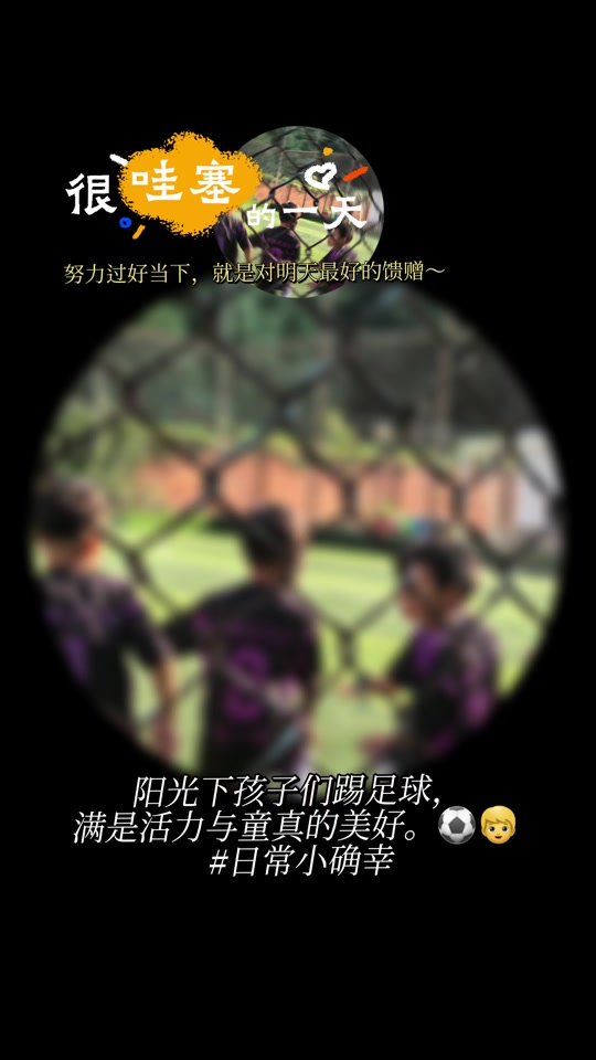 91制片厂官网最新 使用体验分析在实际使用中