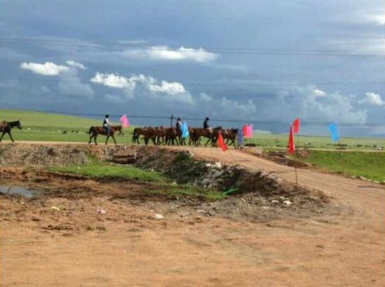 离恨烟同人动漫 如果是离恨在寻找知己